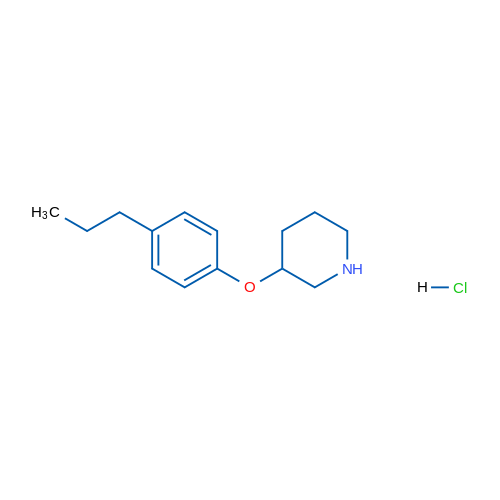 3-(4-Propylphenoxy)piperidine hydrochloride 1g