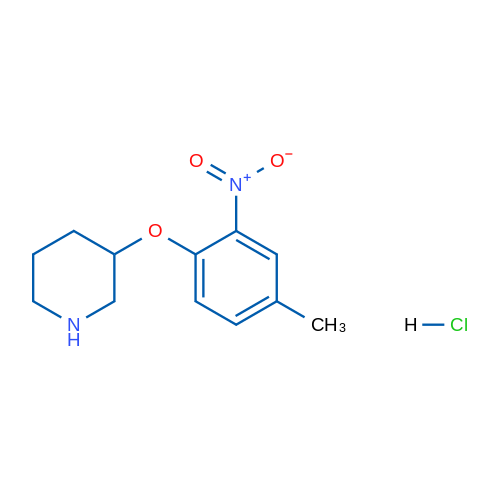 3-(4-Methyl-2-nitrophenoxy)piperidine hydrochloride 1g