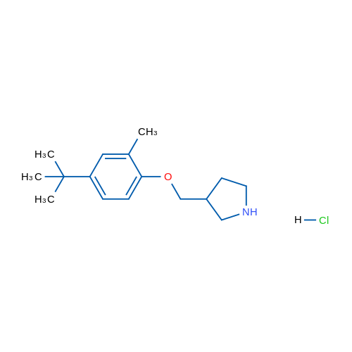 3-((4-(tert-Butyl)-2-methylphenoxy)methyl)pyrrolidine hydrochloride 1g