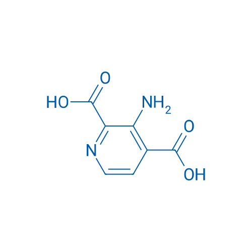 3-Aminopyridine-2,4-dicarboxylic acid 1g