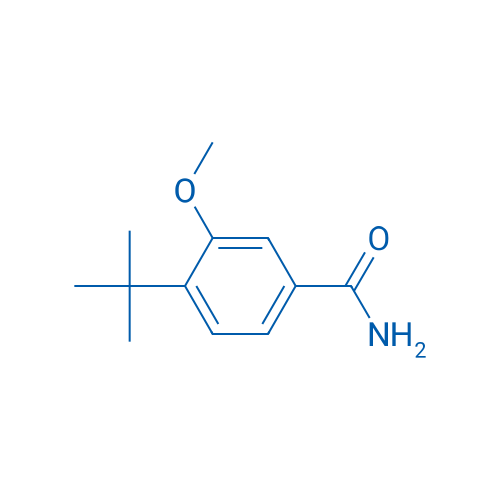 4-(TERT-BUTYL)-3-METHOXYBENZAMIDE 250mg
