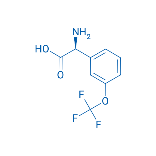 (S)-2-Amino-2-(3-(trifluoromethoxy)phenyl)acetic acid 5g