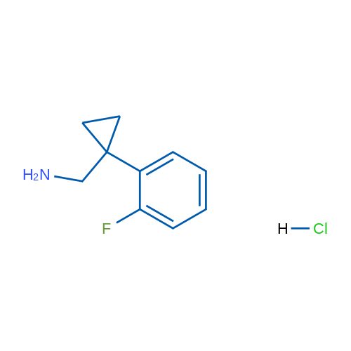 (1-(2-Fluorophenyl)cyclopropyl)methanamine hydrochloride 1g
