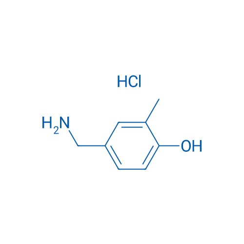 4-(Aminomethyl)-2-methylphenol hydrochloride 1g