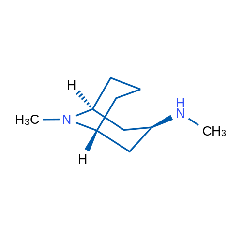 (1R,3r,5S)-rel-N,9-Dimethyl-9-azabicyclo[3.3.1]nonan-3-amine 250mg
