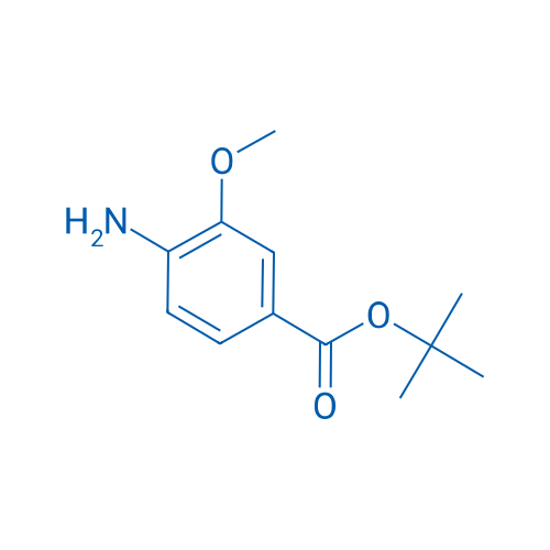 tert-Butyl 4-amino-3-methoxybenzoate 250mg