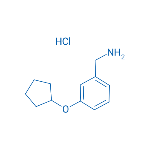 (3-(Cyclopentyloxy)phenyl)methanamine hydrochloride 1g