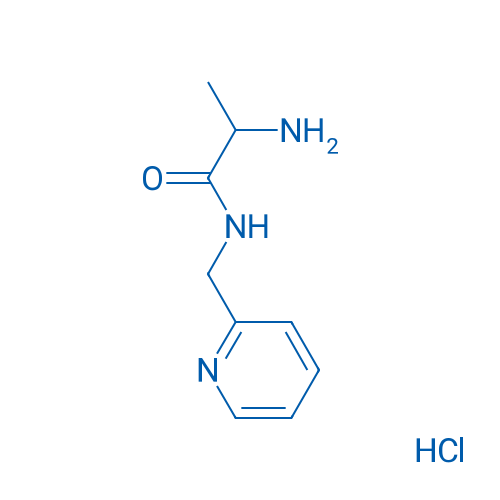 2-Amino-N-(pyridin-2-ylmethyl)propanamide hydrochloride 1g