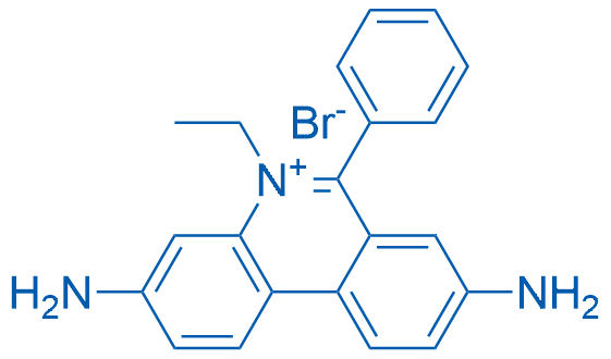 Ethidium bromide 1g