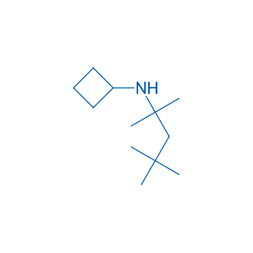 N-(2,4,4-trimethylpentan-2-yl)cyclobutanamine 10g