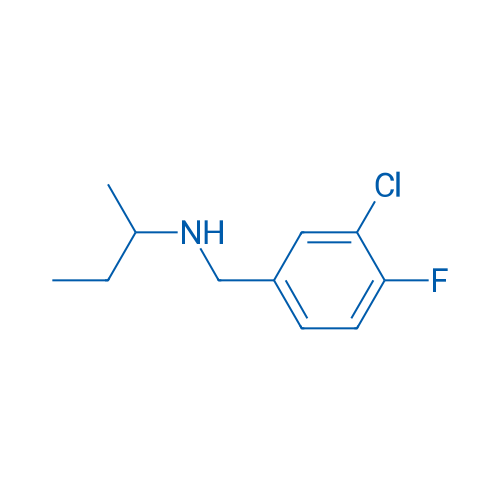 (Butan-2-yl)[(3-chloro-4-fluorophenyl)methyl]amine 1g