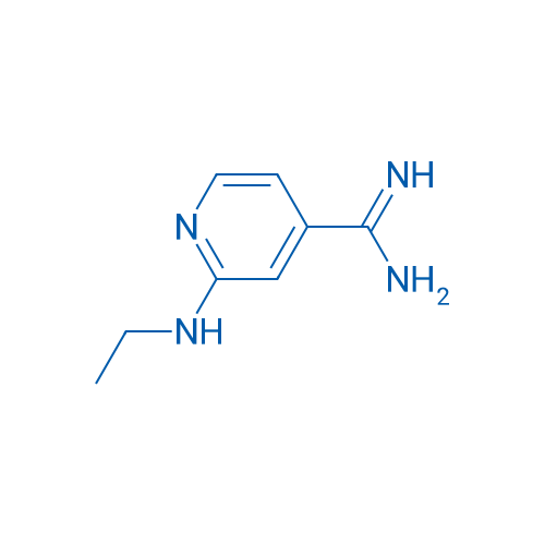 2-(Ethylamino)pyridine-4-carboximidamide 1g