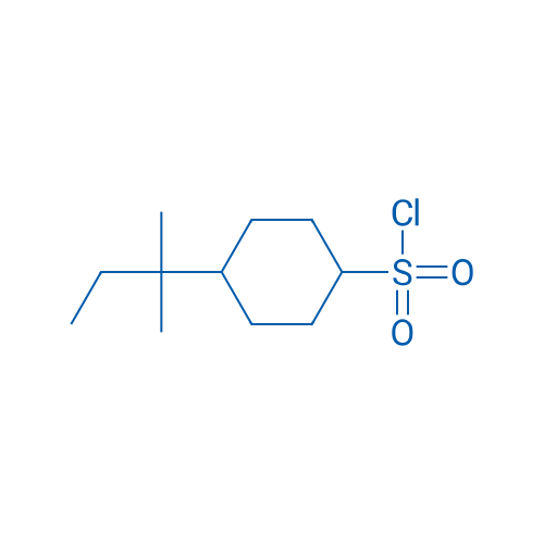 4-(2-Methylbutan-2-yl)cyclohexane-1-sulfonyl chloride 5g