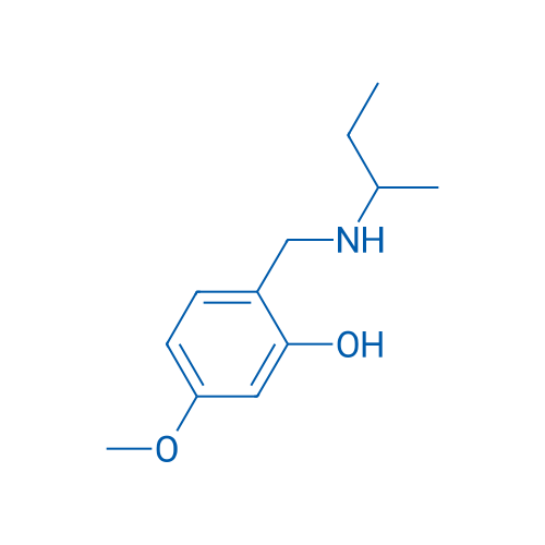 2-{[(butan-2-yl)amino]methyl}-5-methoxyphenol 1g