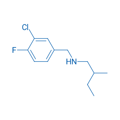 [(3-Chloro-4-fluorophenyl)methyl](2-methylbutyl)amine 1g