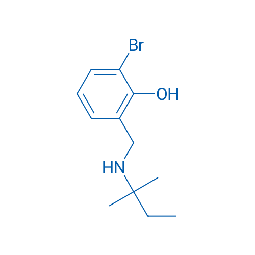 2-Bromo-6-{[(2-methylbutan-2-yl)amino]methyl}phenol 1g