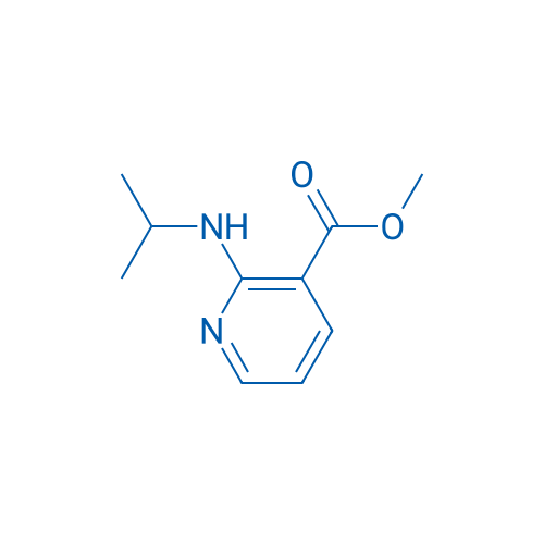 Methyl 2-(isopropylamino)nicotinate 1g