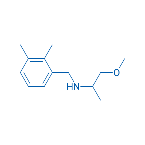 [(2,3-Dimethylphenyl)methyl](1-methoxypropan-2-yl)amine 1g