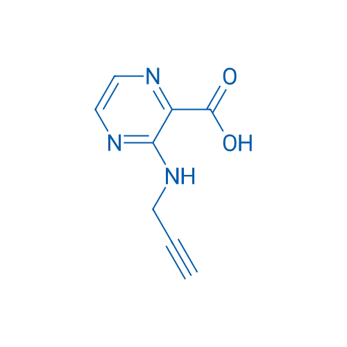 3-[(Prop-2-yn-1-yl)amino]pyrazine-2-carboxylic acid 1g