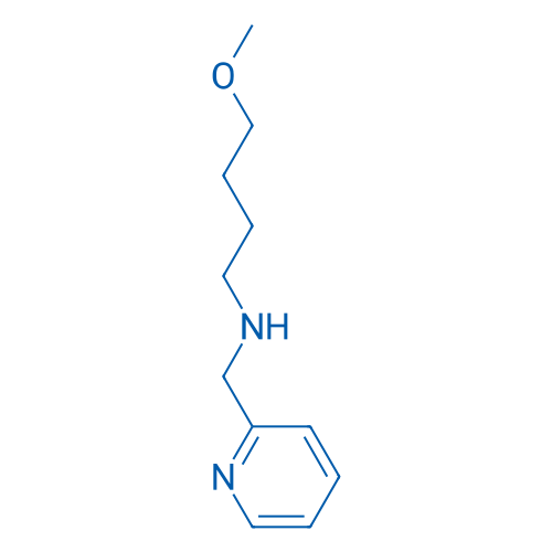 (4-Methoxybutyl)(pyridin-2-ylmethyl)amine 10g