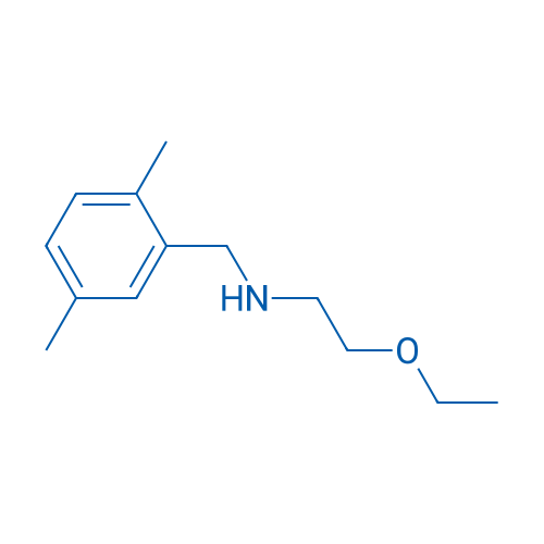 [(2,5-Dimethylphenyl)methyl](2-ethoxyethyl)amine 1g