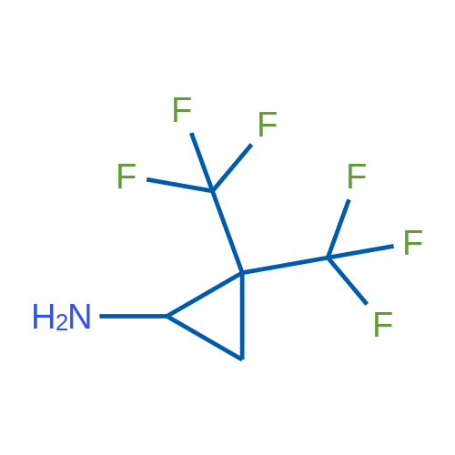 2,2-Bis(trifluoromethyl)cyclopropan-1-amine 1g