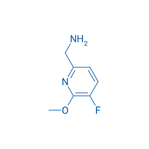 (5-Fluoro-6-methoxypyridin-2-yl)methanamine 1g