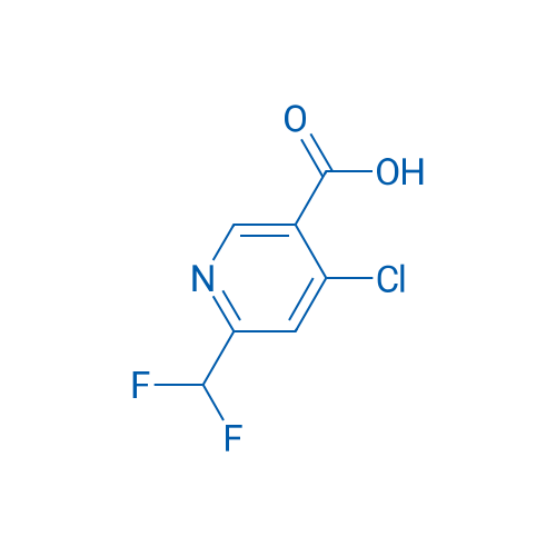 4-Chloro-6-(difluoromethyl)nicotinic acid 100mg