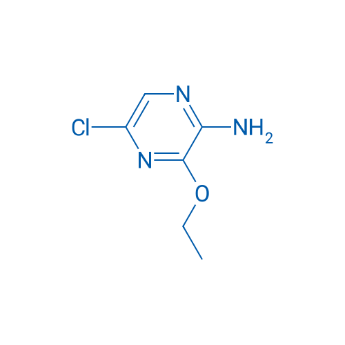 5-Chloro-3-ethoxypyrazin-2-amine 1g