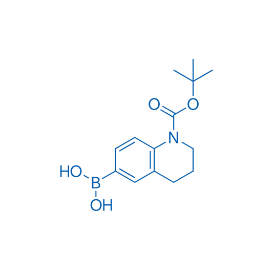 (1-(tert-Butoxycarbonyl)-1,2,3,4-tetrahydroquinolin-6-yl)boronic acid 100mg