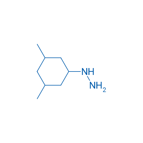 1-(3,5-Dimethylcyclohexyl)hydrazine 1g