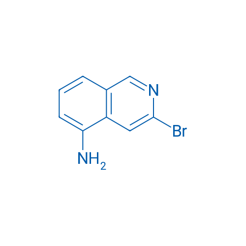 3-Bromoisoquinolin-5-amine 1g