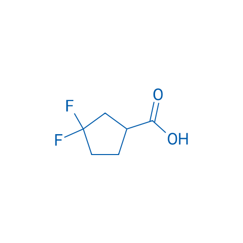 3,3-Difluorocyclopentaecarboxylic acid 10g