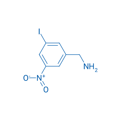 (3-Iodo-5-nitrophenyl)methanamine 1g