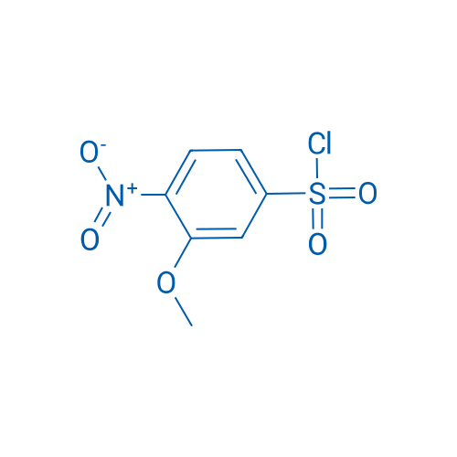 3-Methoxy-4-nitrobenzene-1-sulfonyl chloride 250mg