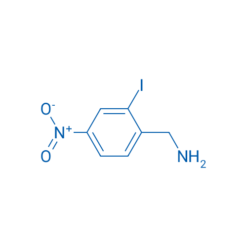 (2-Iodo-4-nitrophenyl)methanamine 1g