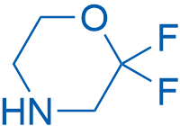 2,2-Difluoromorpholine 250mg