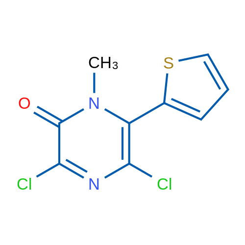3,5-Dichloro-1-methyl-6-(thiophen-2-yl)pyrazin-2(1H)-one 1g