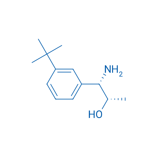 (1S,2S)-1-AMINO-1-(3-TERT-BUTYLPHENYL)PROPAN-2-OL 1g