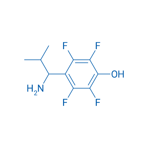 4-(1-Amino-2-methylpropyl)-2,3,5,6-tetrafluorophenol 1g