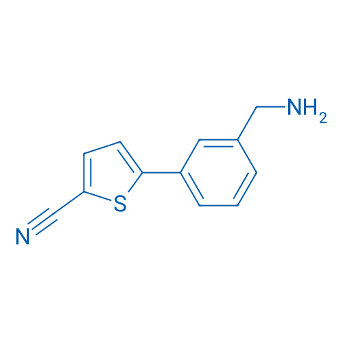 5-[3-(Aminomethyl)phenyl]thiophene-2-carbonitrile 1g