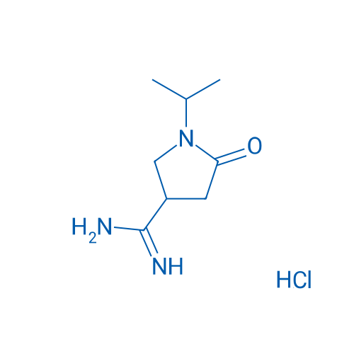 1-Isopropyl-5-oxopyrrolidine-3-carboximidamide hydrochloride 250mg