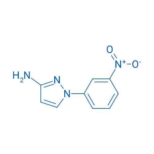 1-(3-Nitrophenyl)-1H-pyrazol-3-amine 250mg