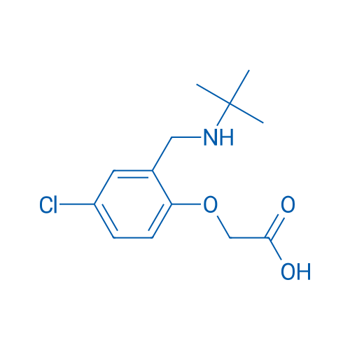 2-(2-((tert-Butylamino)methyl)-4-chlorophenoxy)acetic acid 1g