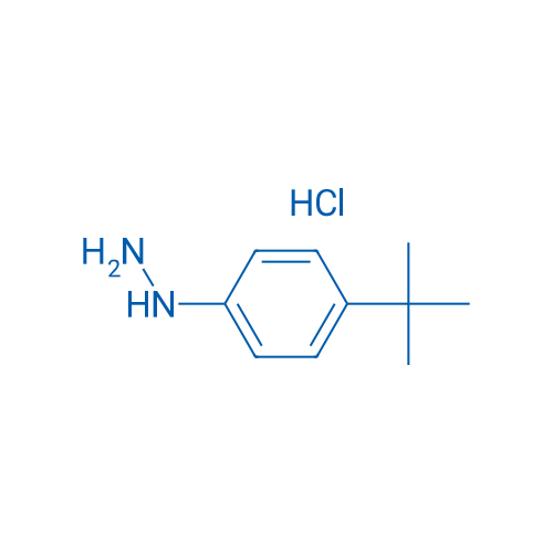 (4-(tert-Butyl)phenyl)hydrazine hydrochloride 250mg