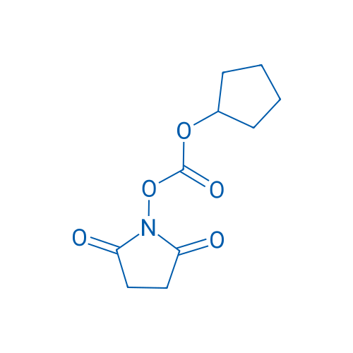 N-(Cyclopentyloxycarbonyloxy)succinimide 100g