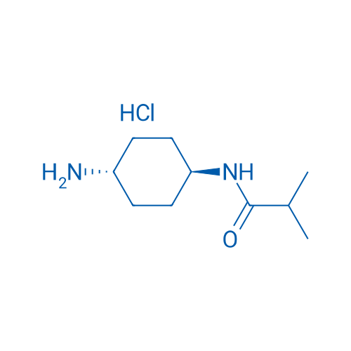 N-(trans-4-Aminocyclohexyl)isobutyramide hydrochloride 1g