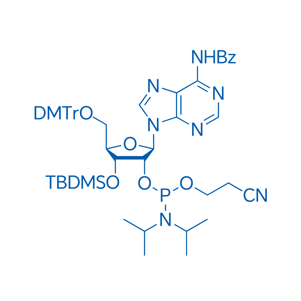 3'-TBDMS-Bz-rA Phosphoramidite 25g