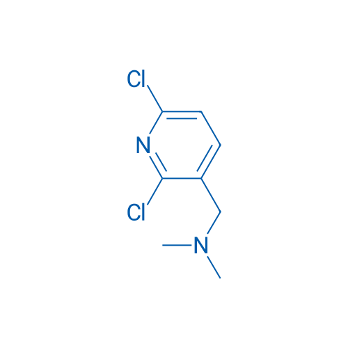 1-(2,6-Dichloropyridin-3-yl)-N,N-dimethylmethanamine 5g