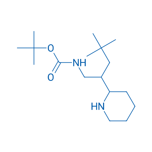 tert-Butyl N-[4,4-dimethyl-2-(piperidin-2-yl)pentyl]carbamate 1g
